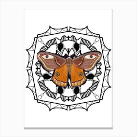 Mandala Butterfly Canvas Print