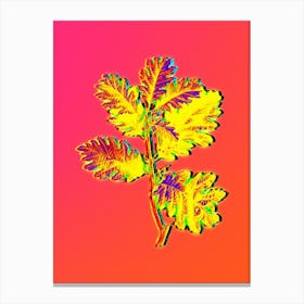 Neon Hungarian Oak Botanical in Hot Pink and Electric Blue n.0313 Canvas Print