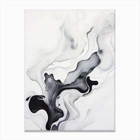 Black And White Flow Asbtract Painting 5 Canvas Print
