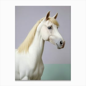 Minimalist White Horse Canvas Print