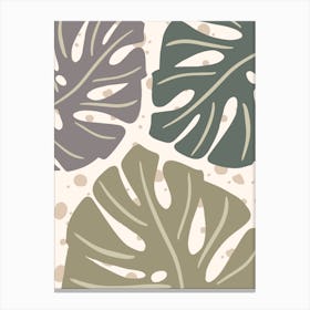 Monstera Leaves 1 Canvas Print