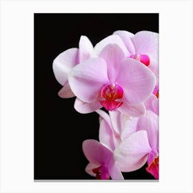 Blooming Orchid Close up // Nature & Flower Photography Canvas Print