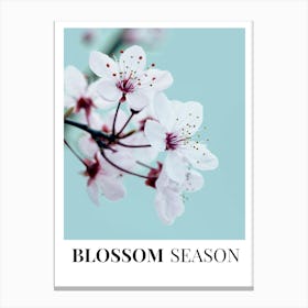 Blossom Season Canvas Print