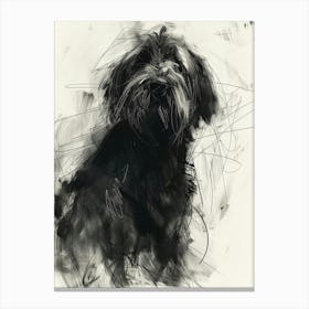 Petit Basset Griffon Vendeen Dog Charcoal Line 2 Canvas Print