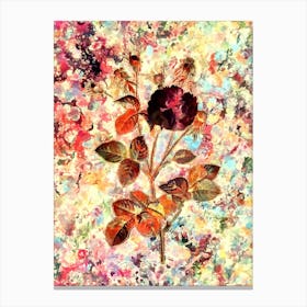 Impressionist Pink Agatha Rose Botanical Painting in Blush Pink and Gold n.0041 Canvas Print