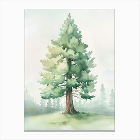 Sequoia Tree Atmospheric Watercolour Painting 7 Canvas Print
