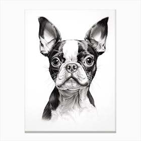 Boston Terrier Dog, Line Drawing 4 Canvas Print