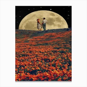 Full Moon 13 Canvas Print