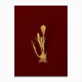 Vintage Spring Crocus Botanical in Gold on Red n.0592 Canvas Print