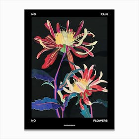 No Rain No Flowers Poster Chrysanthemum 3 Canvas Print