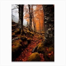 Autumn Forest in Sweden Canvas Print