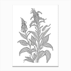 Comfrey Herb William Morris Inspired Line Drawing 3 Canvas Print