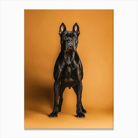 Black French Bulldog.Generated AI. Wall Art Print Canvas Print