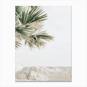 Palm Leaves Over Beach Canvas Print