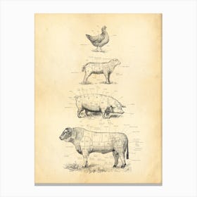 French Meat Cuts Chart Canvas Print