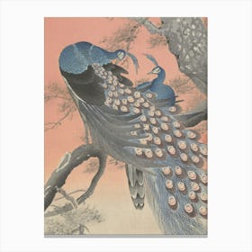 Japanese Ukiyo-E Peacocks Canvas Print