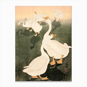 Geese (1926), Ohara Koson Canvas Print