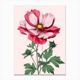 Pink Cosmos Flower Canvas Print