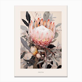 Flower Illustration Protea 7 Poster Canvas Print