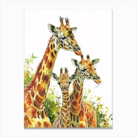 Giraffe Family Watercolour 3 Canvas Print