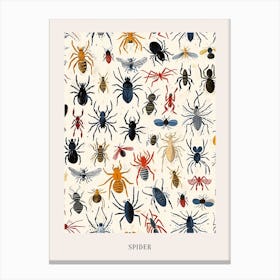 Colourful Insect Illustration Spider 14 Poster Canvas Print