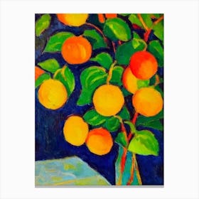 Physalis 2 Fruit Vibrant Matisse Inspired Painting Fruit Canvas Print