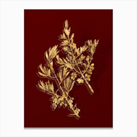 Vintage Wild Olive Botanical in Gold on Red Canvas Print