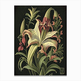 Lilium Floral 1 Botanical Vintage Poster Flower Canvas Print