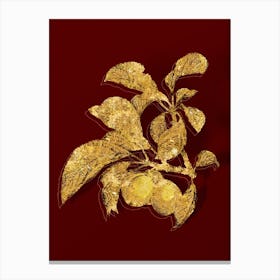 Vintage Ripe Plums on a Branch Botanical in Gold on Red n.0192 Canvas Print