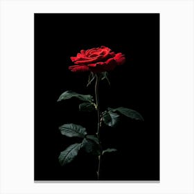 Single Red Rose On Black Background 10 Canvas Print