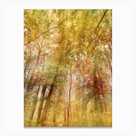 Autumn Canopy Canvas Print