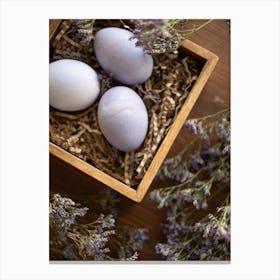 Easter Eggs 503 Canvas Print