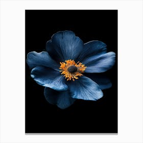 Blue Anemone Flower 1 Canvas Print