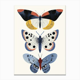 Colourful Insect Illustration Butterfly 10 Canvas Print