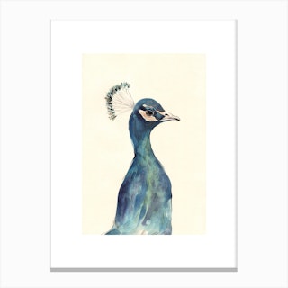 Peacock Canvas Print