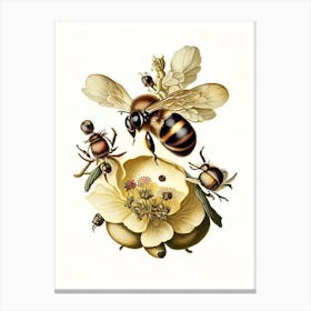 Bees 3 Vintage Canvas Print