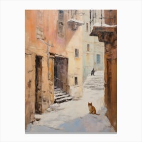 Cat In The Streets Of Dubrovnik   Croatia With Snow 1 Canvas Print