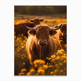 Highland Cows In Flower Field No 2 Canvas Print