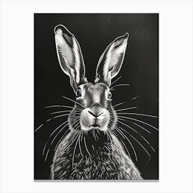 Belgian Hare Blockprint Illustration 6 Canvas Print