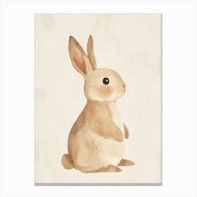 Little bunny Canvas Print