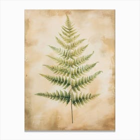 Soft Shield Fern Painting 1 Canvas Print