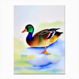 Mallard Duck Watercolour Bird Canvas Print