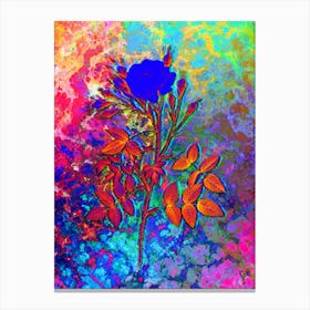 White Rose of Rosenberg Botanical in Acid Neon Pink Green and Blue Canvas Print
