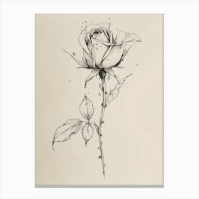 English Rose Dew Line Drawing 4 Canvas Print
