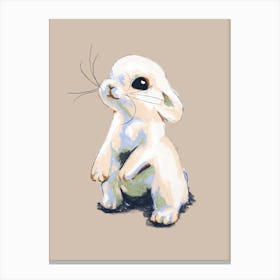Baby Bunny Canvas Print