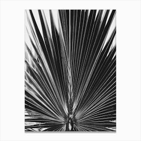 Palm Leaf 6 Canvas Print