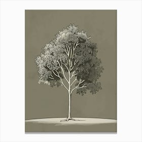 Ash Tree Minimalistic Drawing 4 Canvas Print