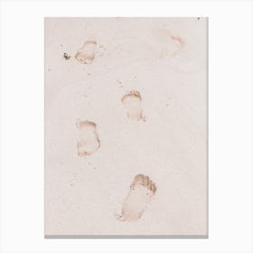 Foot Prints In The Sand Canvas Print