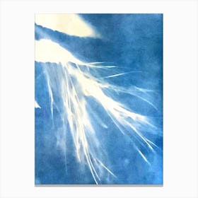 Feathers In The Wind Canvas Print