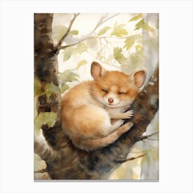 Adorable Chubby Sleeping Possum 2 Canvas Print
